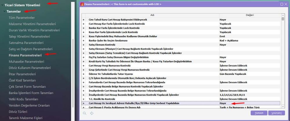 Finans Parametreleri adres serbest giriş parametresi Hayır