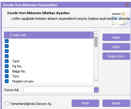 Logo FN+F12 Excel aktarım sihirbazı